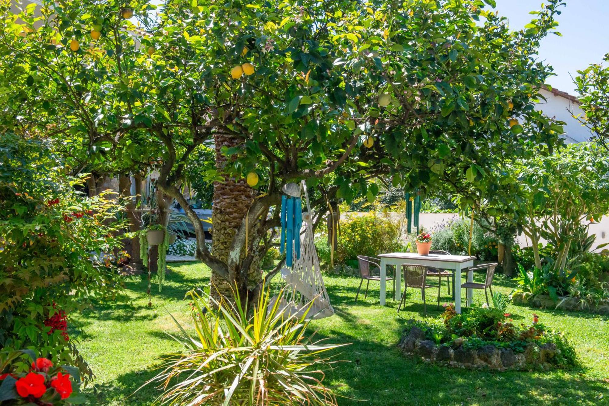 Alex Studios & Apartments Αρίλλας Εξωτερικό φωτογραφία