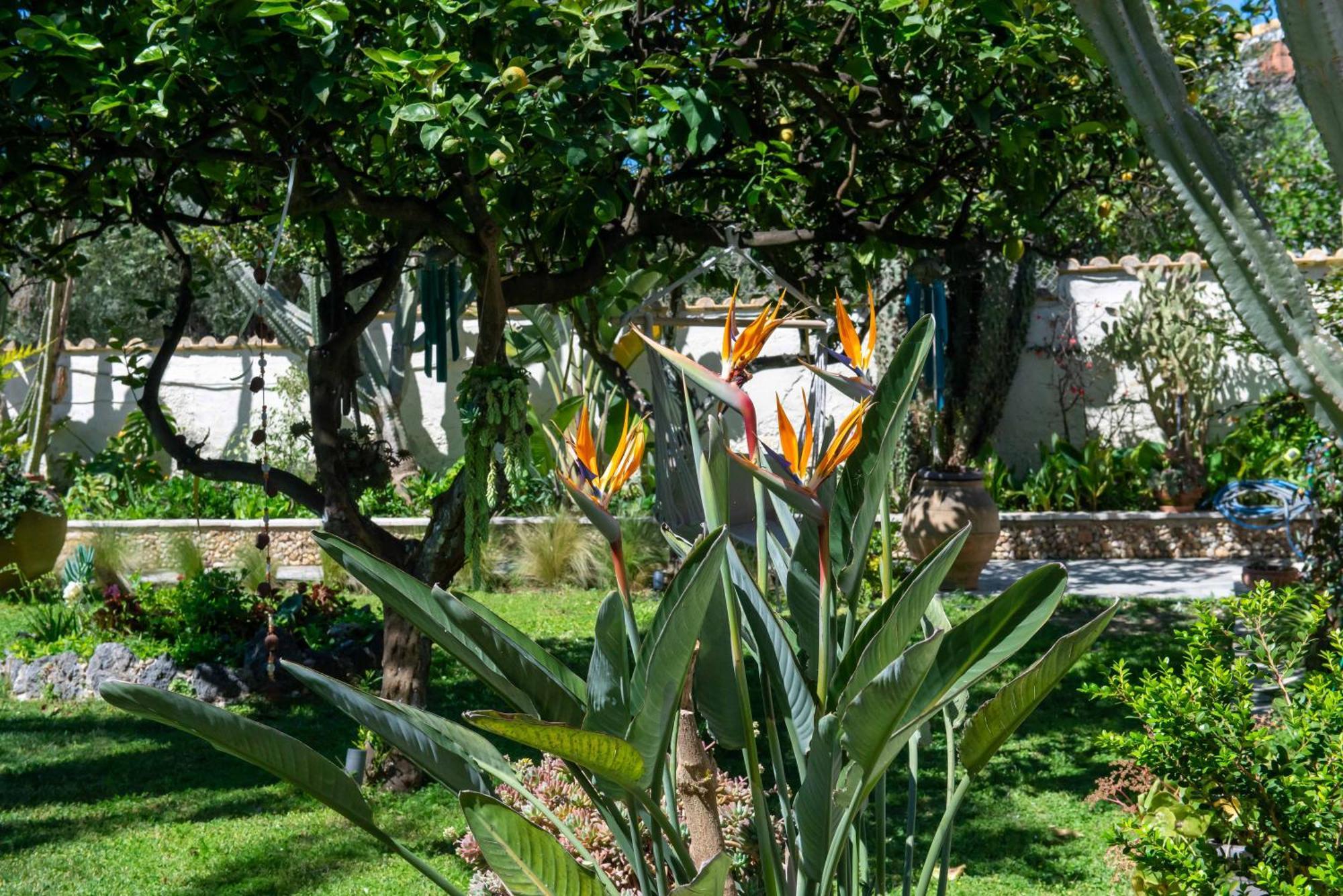 Alex Studios & Apartments Αρίλλας Εξωτερικό φωτογραφία